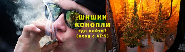 трава Богданович