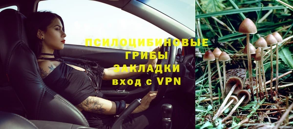 прущая мука Богородицк