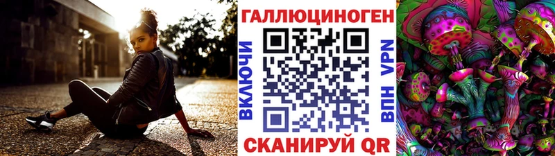 Купить где  Анива  Псилоцибиновые грибы GOLDEN TEACHER 